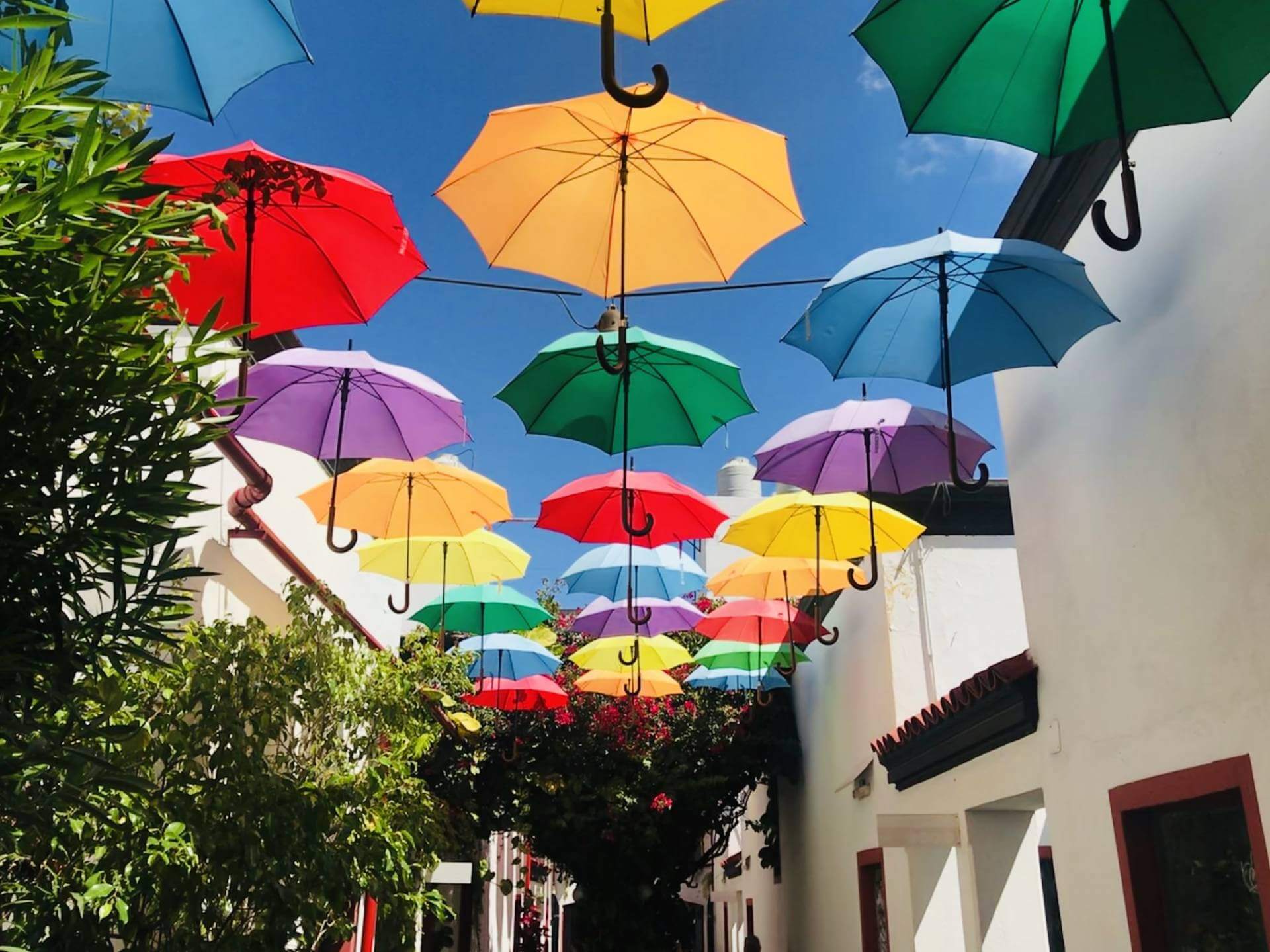 Colorful Umbrellas In The Buenos Aires Sky Secrets Of Buenos Aires